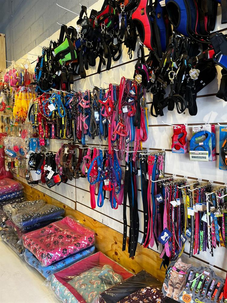 Parede com coleiras, guias, peitorais e caminhas para pets