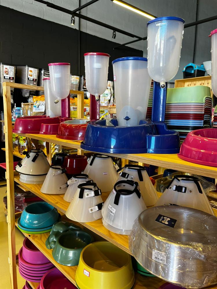 Comedouros, bebedouros automáticos e colares elizabetanos